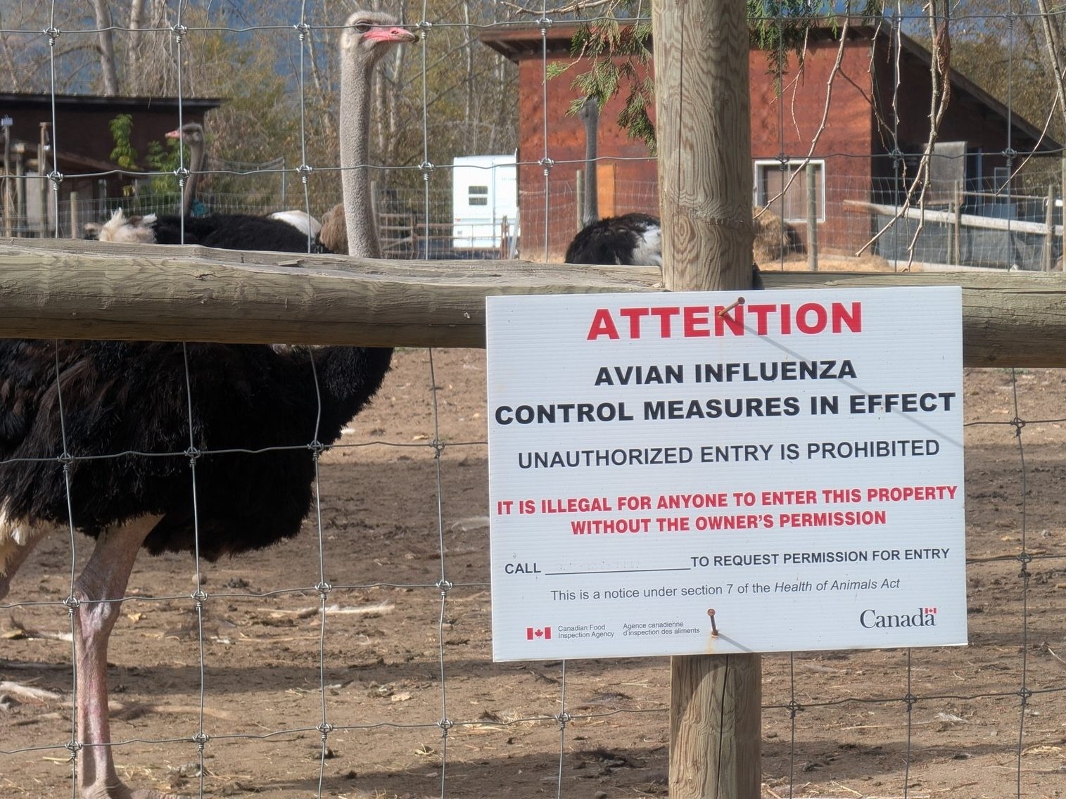 DRONE MAYHEM & VANDALISM: B.C. Authorities Baffled!