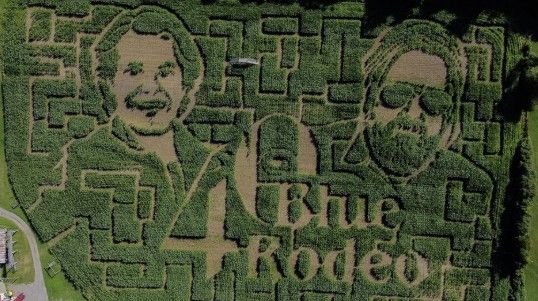 New Brunswick farmers build corn maze to honour Blue Rodeo's 40th anniversary
