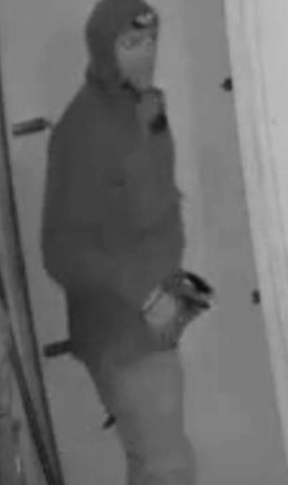 সন্দেহভাজন দ্বিতীয় অনুপ্রবেশকারী