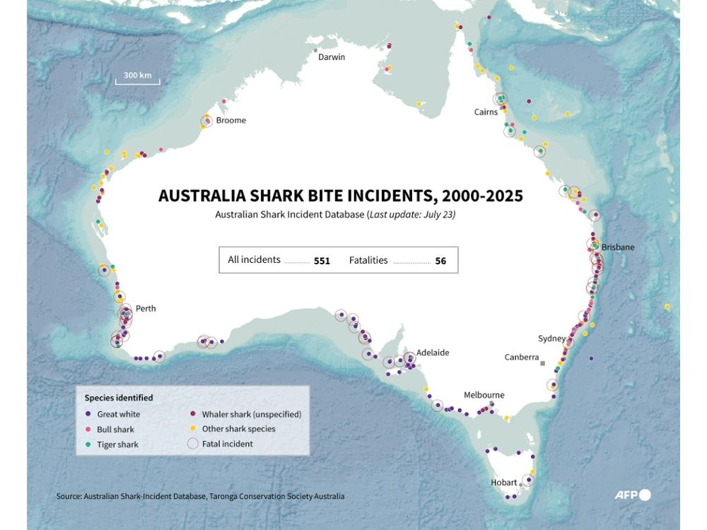 Shark bites around Australia. (John SAEKI/AFP)  Shark bites around Australia. (John SAEKI/AFP)
