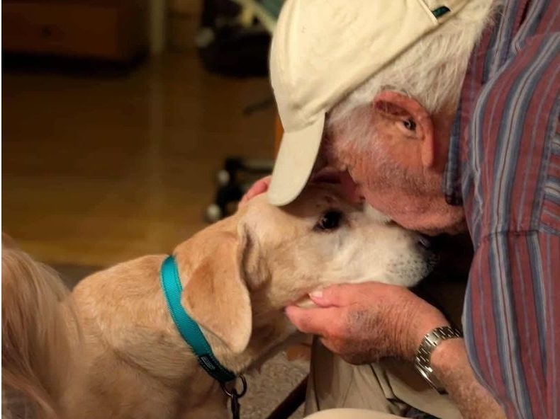 Man, 93, reunites with lost dog after rescuers lure her with his socks