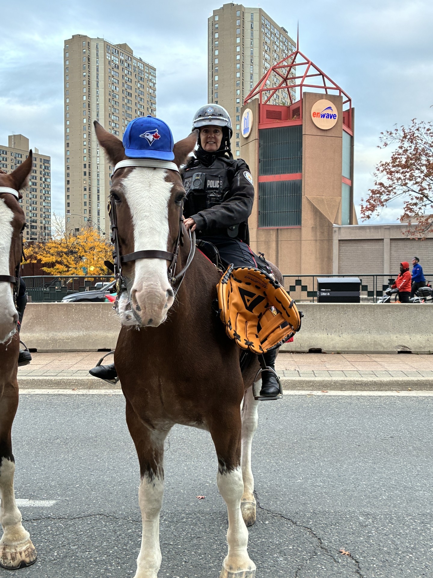 A Toronto Police Mounted unit horse, named Blue Jay, shows support for the hometown team outside the Rogers Centre ahead of Game 1 of the World Series on Friday, Oct. 24, 2025.  A Toronto Police Mounted unit horse, named Blue Jay, shows support for the hometown team outside the Rogers Centre ahead of Game 1 of the World Series on Friday, Oct. 24, 2025.