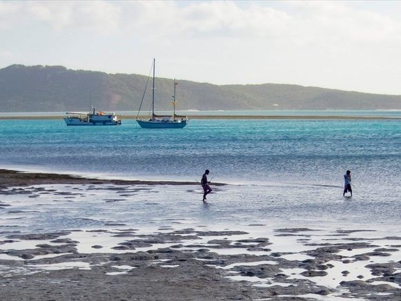 Teen critically hurt after 'traumatic' shark attack in Australia
