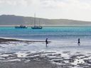 A 14-year-old boy suffered life-threatening injuries to his abdomen and organs after being bitten while fishing on Thursday Island in northern Australia.
