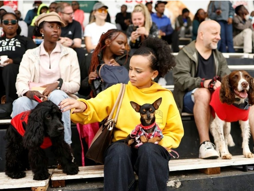 Nairobi dog lovers showed off their four-legged friends in an array of quirky, colourful outfits.
