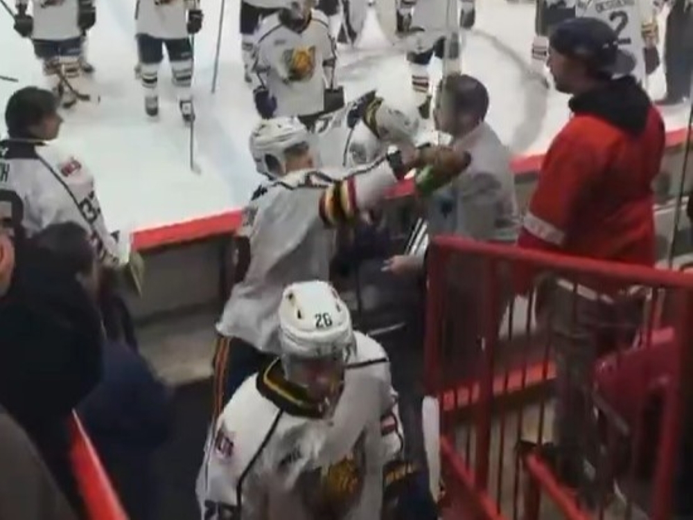 HOCKEY EXPLODES: Star Player SILENCED After Savage Fan Brawl!