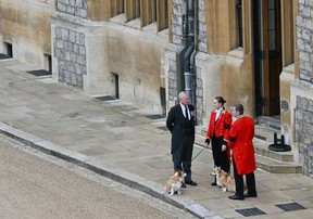 Andrew standing with the corgis Muwick and Sandy at Windsor just after the Queen's death. (Glyn KIRK/POOL/AFP)