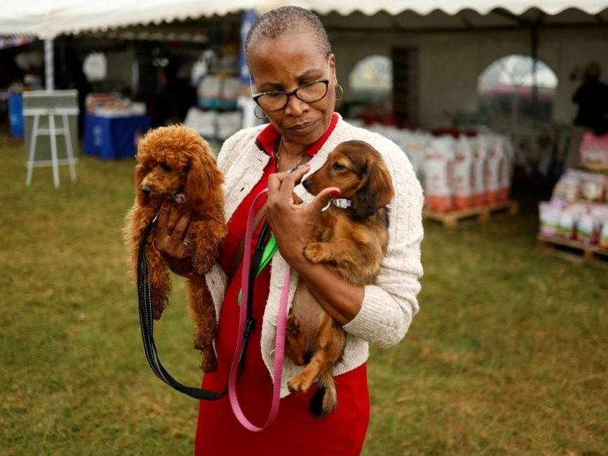 NAIROBI'S DOGS JUST BROKE THE INTERNET!