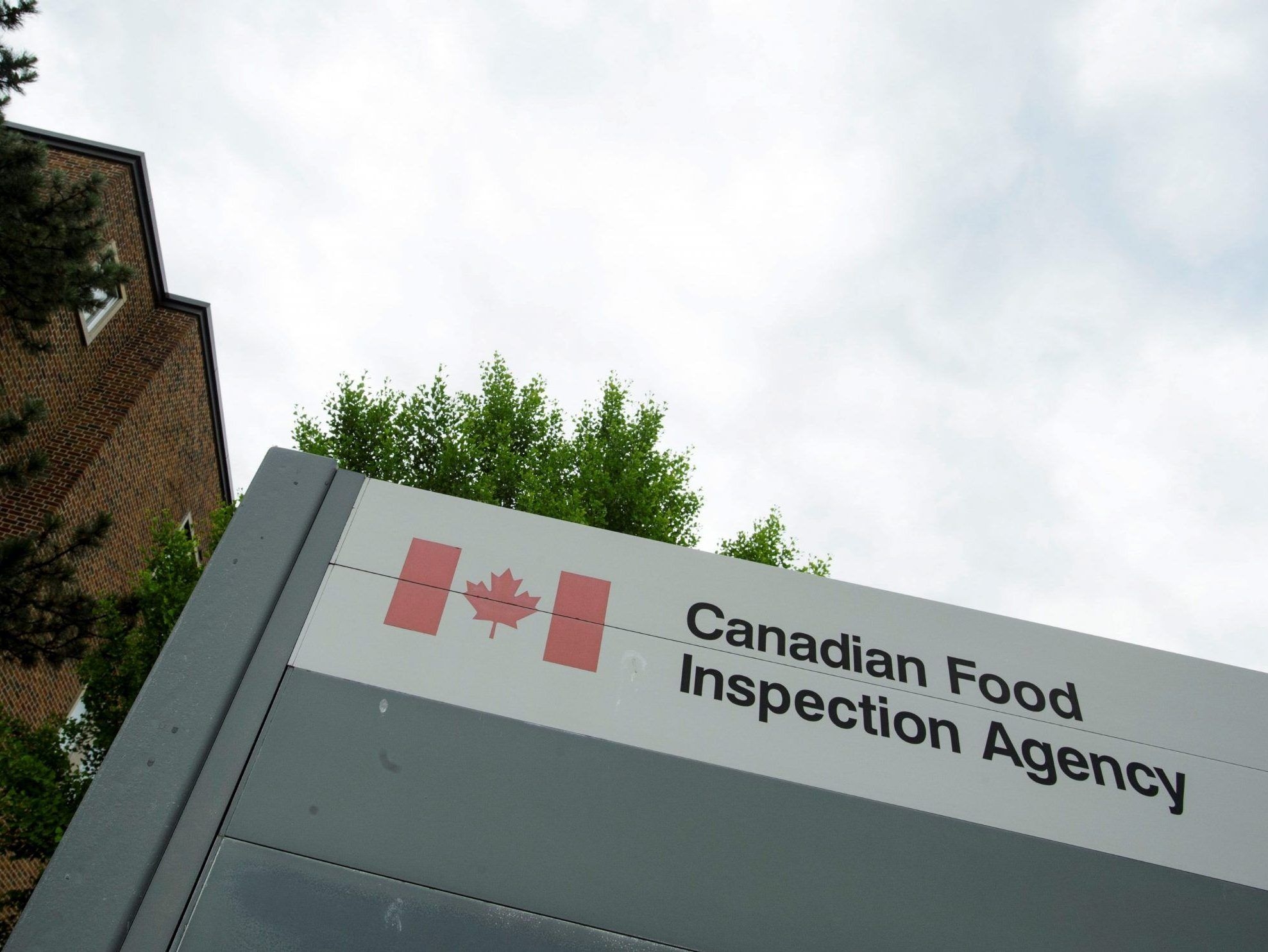 BIRD FLU NIGHTMARE: 32,000 DEAD – Is YOUR Farm Next?