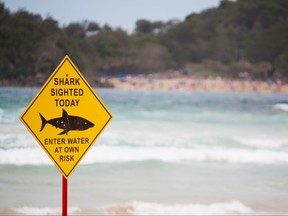 A sign on Manly beach Australia warns of a shark sighting.