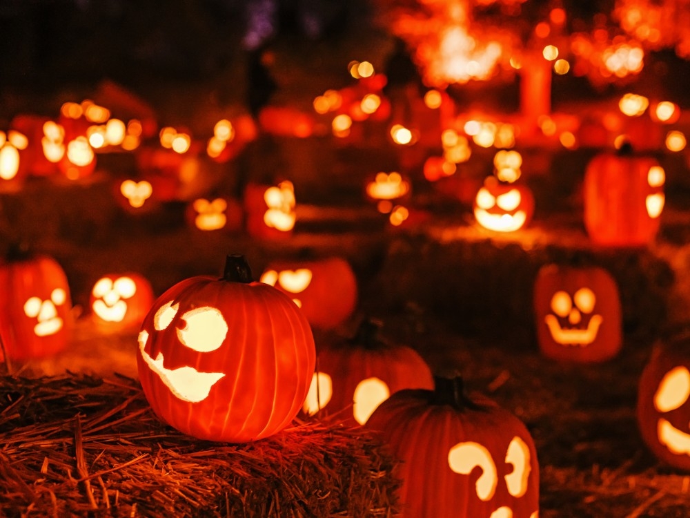 POLITICIANS HANGED IN HALLOWEEN HORROR!