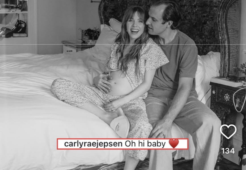 CARLY RAE JEPSEN IS PREGNANT: The Pop Star's Life Just Changed FOREVER!
