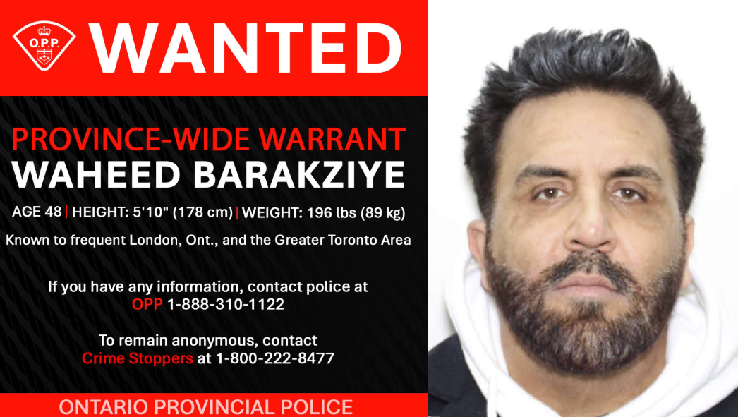 wanted man