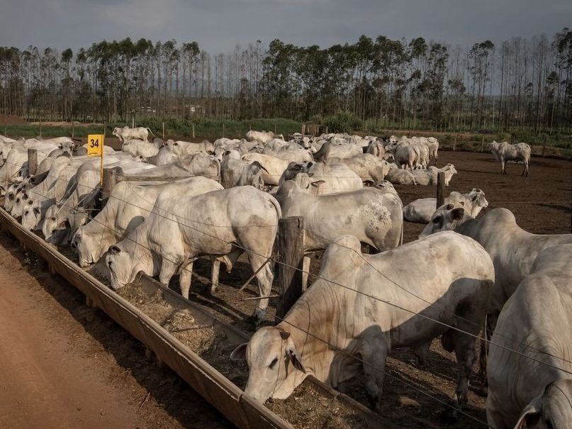 Donald Trump's tariff cut may ease pain for U.S. coffee and beef lovers