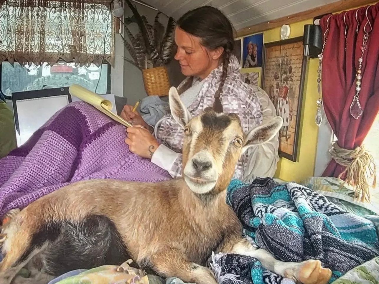She saved a baby goat. Now they travel the U.S., share a bed.