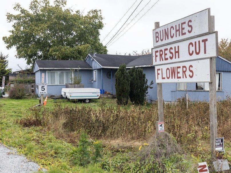 Residences and businesses along No. 6 Rd. in Richmond, B.C., Oct. 20, 2025.