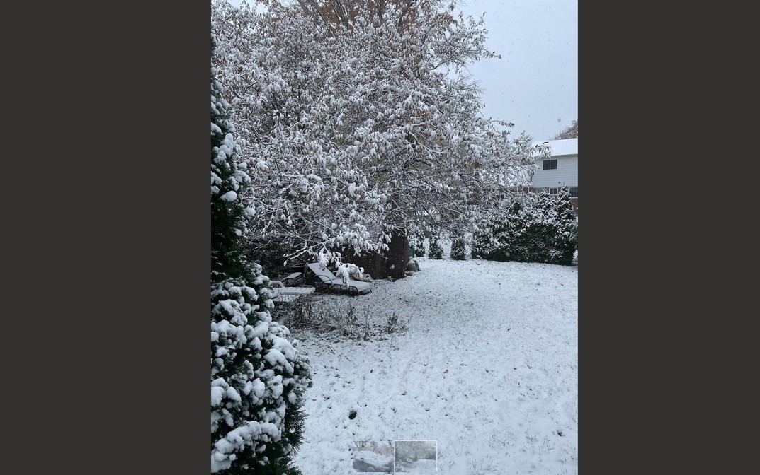  On Sunday, GTA resident got their first taste of snow this season. (Zen Ruryk, Toronto Sun)