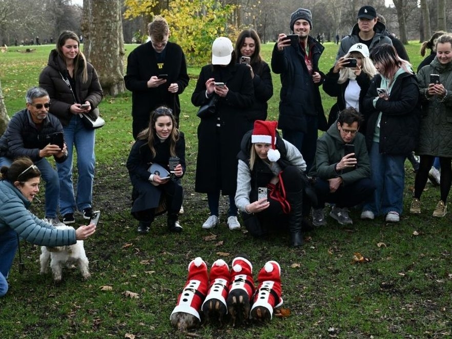  The owners all have a cast-iron belief that dachshunds are the ultimate pet.