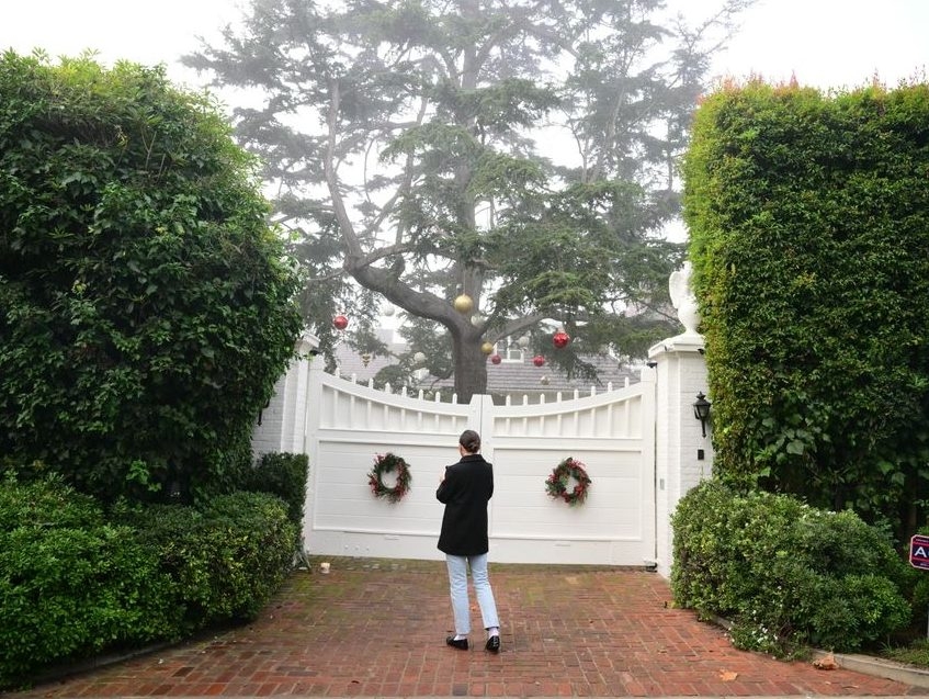 REINER HORROR: Hollywood's Nightmare REVEALED!