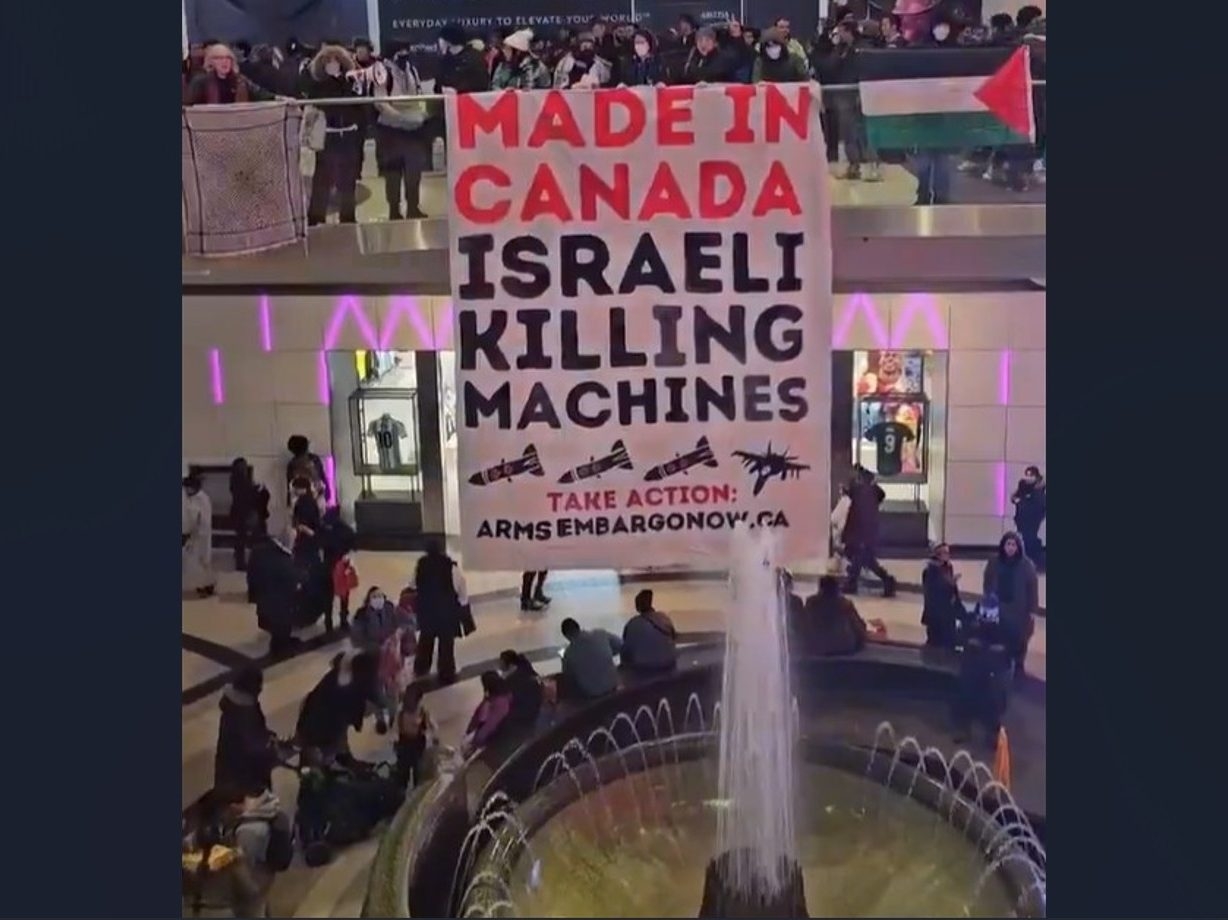 EATON CENTRE CHAOS: Hamas Supporters ATTACK Boxing Day Shoppers!