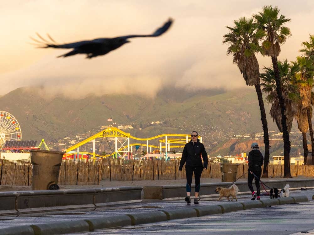 CALIFORNIA UNDER SIEGE: MEGA-STORM THREATENS TO DROWN THE STATE!