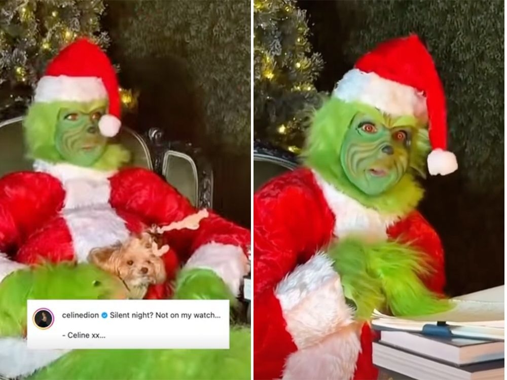 CÉLINE DION CANCELS WHOS! Fans Devastated by Holiday Heartbreak!