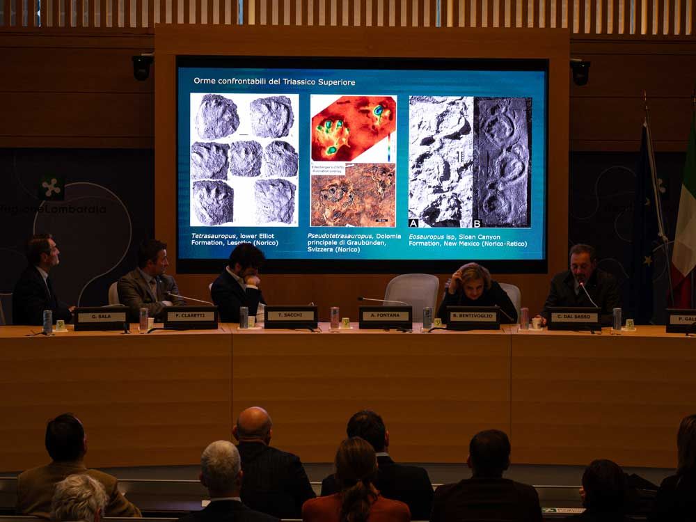 Photog finds thousands of dinosaur footprints near Italian Winter Olympic venue