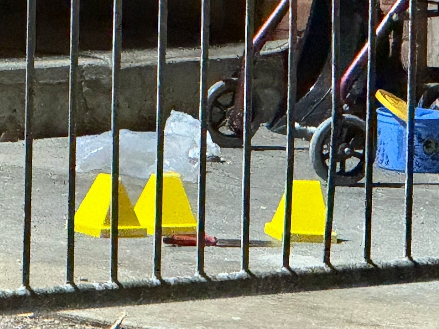 COP OPENS FIRE: Mother & Child SAVED From Violent Attacker!