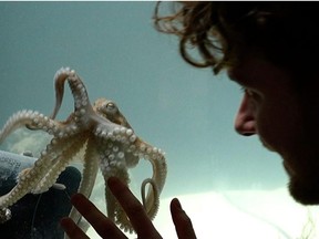 121025-octopus-piano_FGQALDS3EVHPPHHG5TRIZ27Q3Y