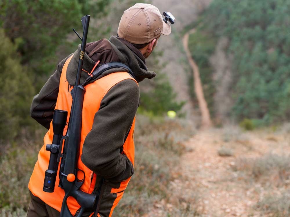 Spain swine fever outbreak grows with 10 new wild boar deaths