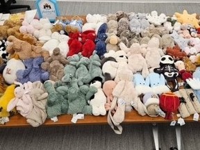 Waterloo Regional Police recovered nearly $7,500 in stolen toys. WATERLOO REGIONAL POLICE HANDOUT