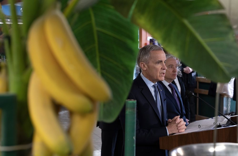 LILLEY: Carney denies early election, but grocery benefit and Trump clash stir debate