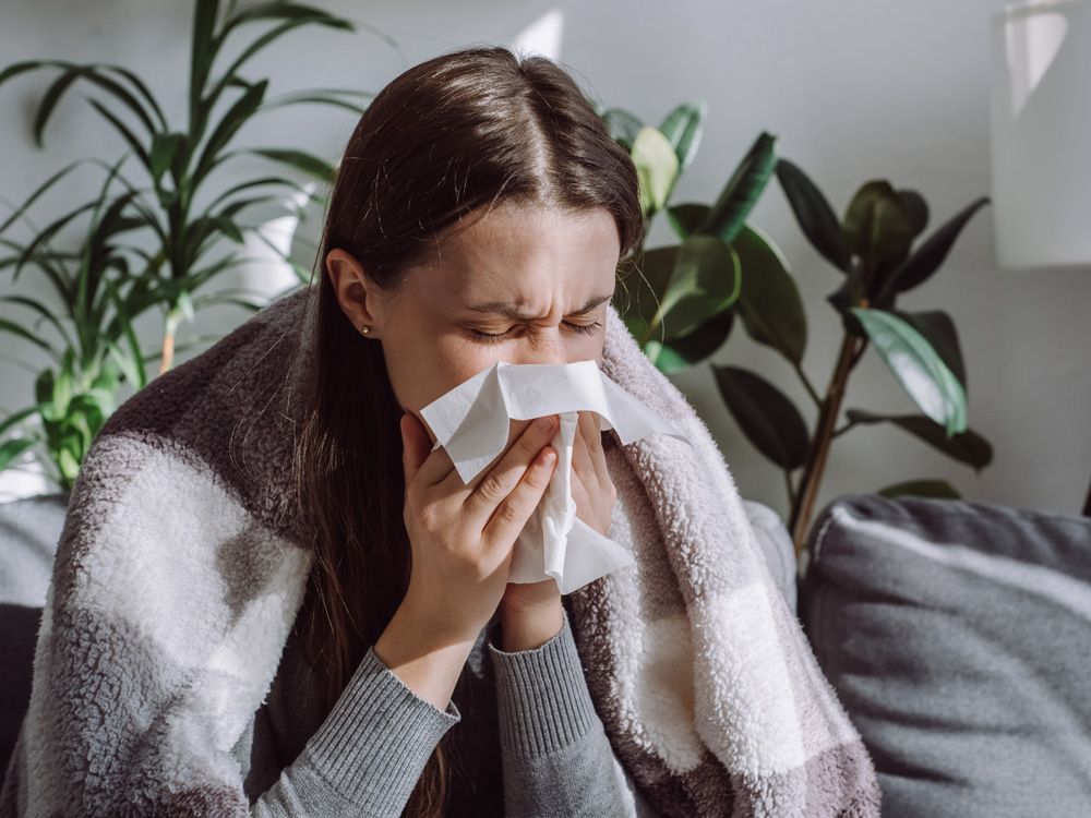 Close up of sick woman sitting on sofa freezing blowing running nose got fever caught cold sneezing in tissue, ill brunette girl covered with blanket, having influenza symptoms coughing at home