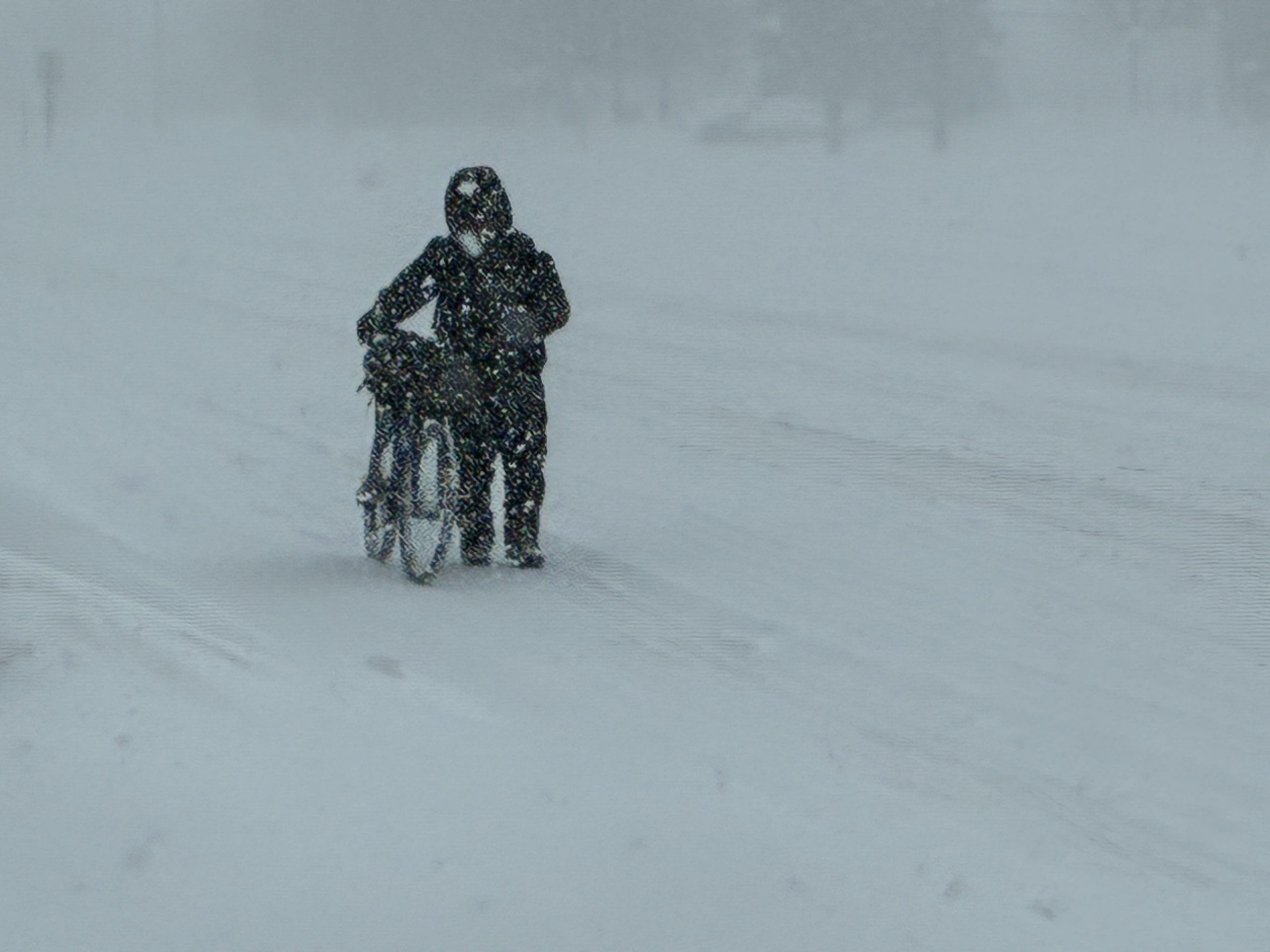 GTHA SNOWPOCALYPSE: Prepare for Total Shutdown!