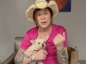 Mickey Rourke evicted from L.A. home he says had rodents, bad plumbing Mickey Rourke evicted from L.A. home he says had rodents, bad plumbing