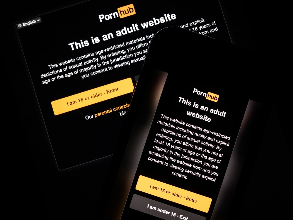 HELLFIRE FOR REVENGE PORN: He's Paying the Price.