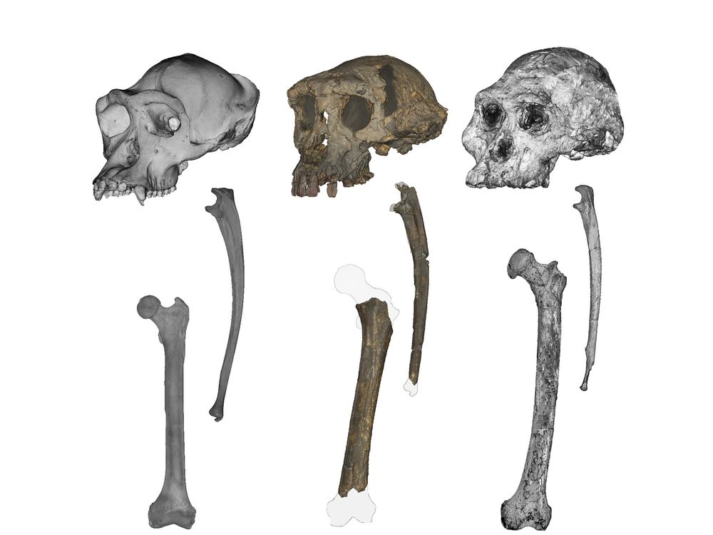 HUMANITY'S ORIGINS REVEALED: The Moment Everything Changed.