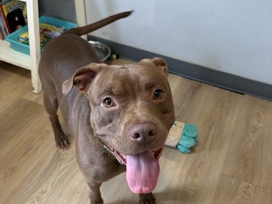  Bando at his new home. (Armani McKoy)