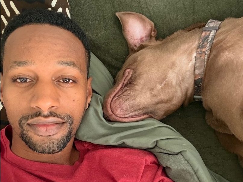 FROM STREETS TO STARDOM: Abandoned Dogs' Incredible Transformation Will SHOCK You!