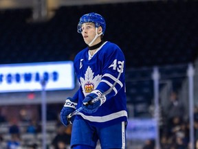 Forward Luke Haymes of the Toronto Marlies.