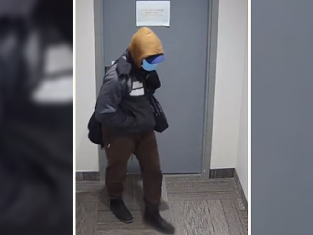  It is alleged that Levy stole approximately $150,000 worth of property. (Handout/Peel Regional Police)