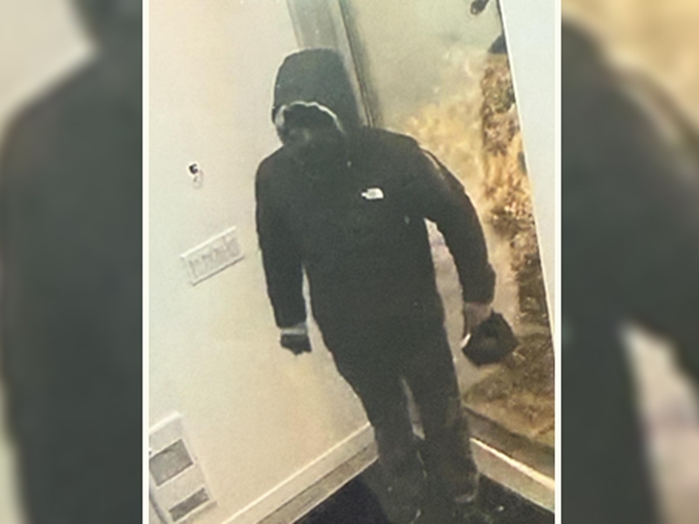  It is alleged that Levy stole approximately $150,000 worth of property.(Handout/Peel Regional Police)