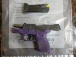  A purple gun was among the item seized in Thunder Bay leading to 7 firearm charges and two other charges beind being laid. (OPP)