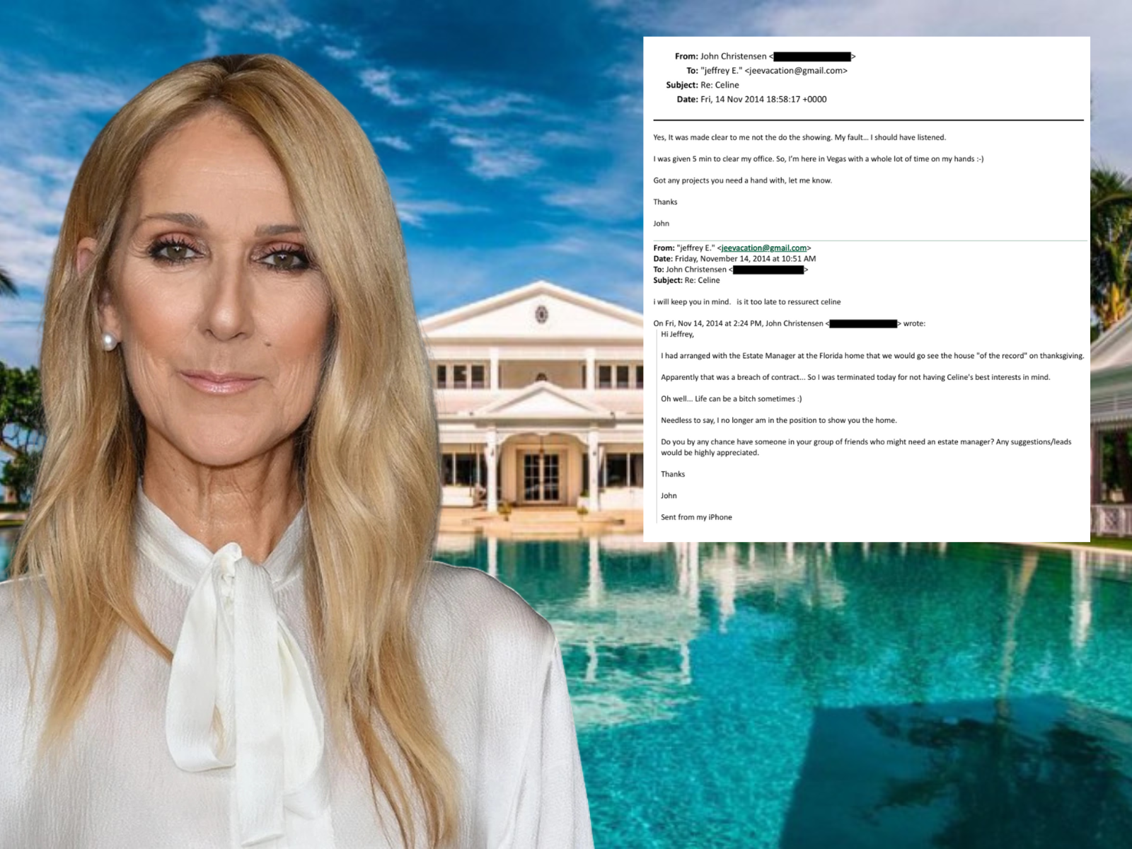 Celine Dion employee fired after arranging discreet showing of Florida estate for Jeffrey Epstein