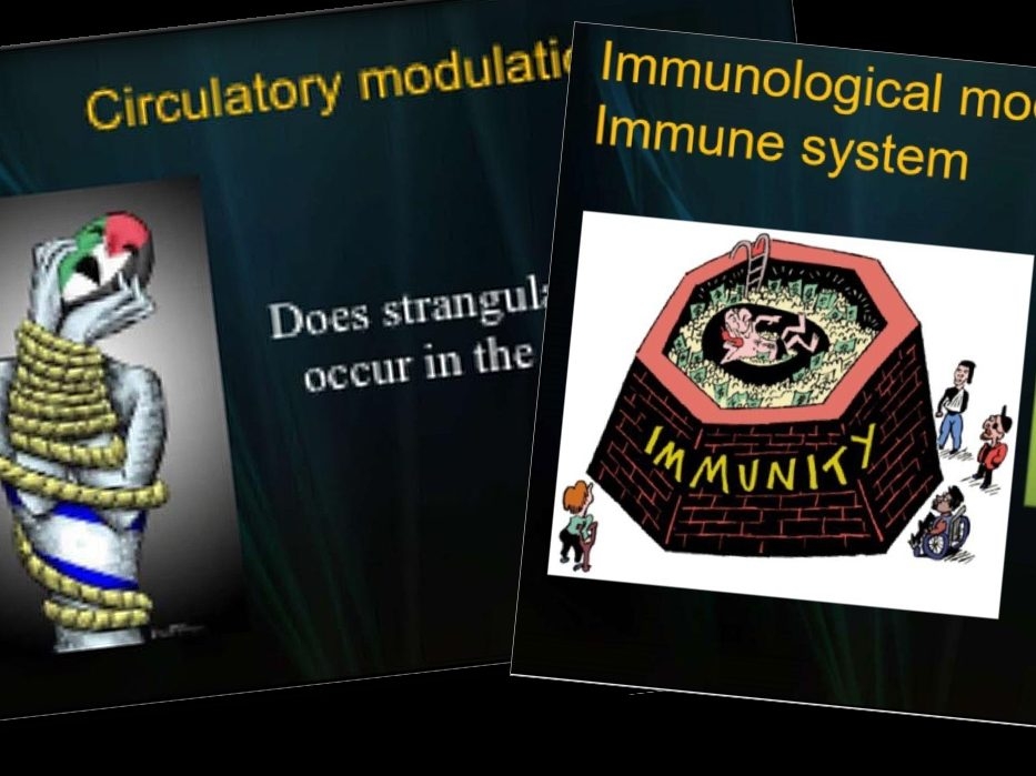 DENTISTRY DEAN AXED: Antisemitism Scandal EXPLODES at U of T!