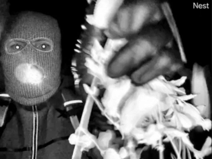 NANCY GUTHRIE: BREAKING - Suspect in Custody!