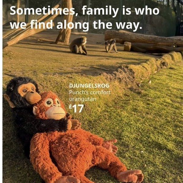  A new Ikea ad has seized on the viral moment.