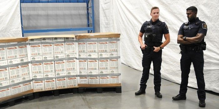 Australians used Vancouver port to ship drugs, eight receive jail sentences