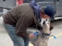 Monty, the 5-year-old hound who had been at an Oakville shelter for 450 days, was finally adopted by Dave.