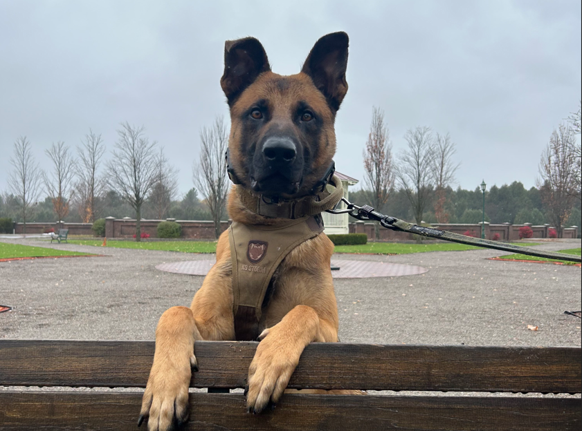 They may have gone shopping for diamonds but all five of these gems ended up being the ones wrapped up in the box with a bow. Read more.